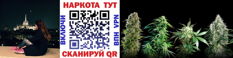 A PVP Кольчугино