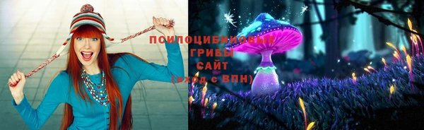 таблы Алексин
