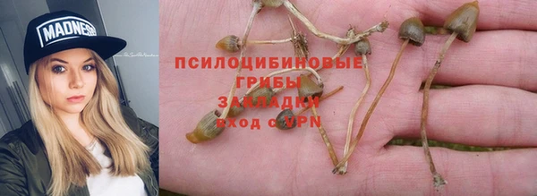 таблы Алексин