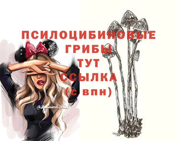 таблы Алексин