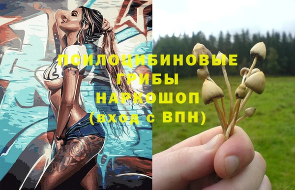 таблы Алексин